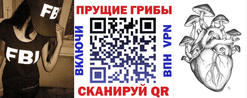 Псилоцибиновые грибы Cubensis  Купить закладки  Хабаровск 